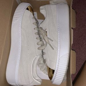 Suede gold toe pumas